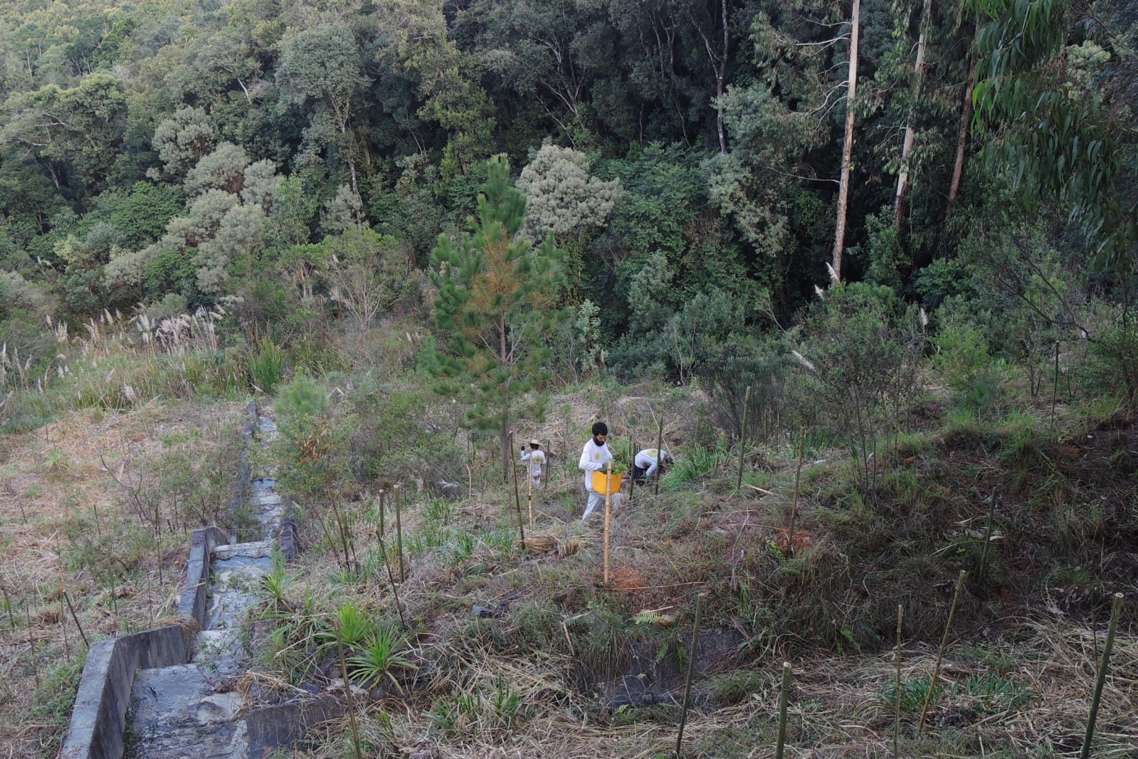 2ed8c47c-0b22-44bc-ae26-33c4ea8a2e52