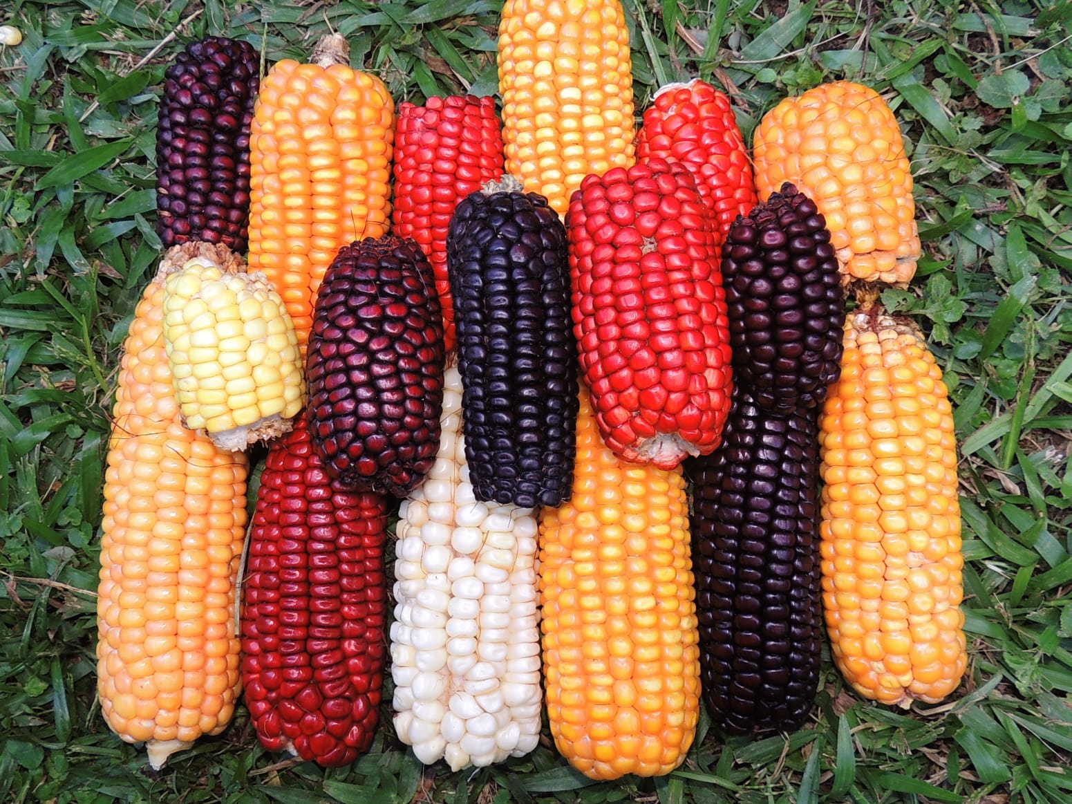 a1bff6bd-0123-4ff5-870a-f6ca7cc6ca15