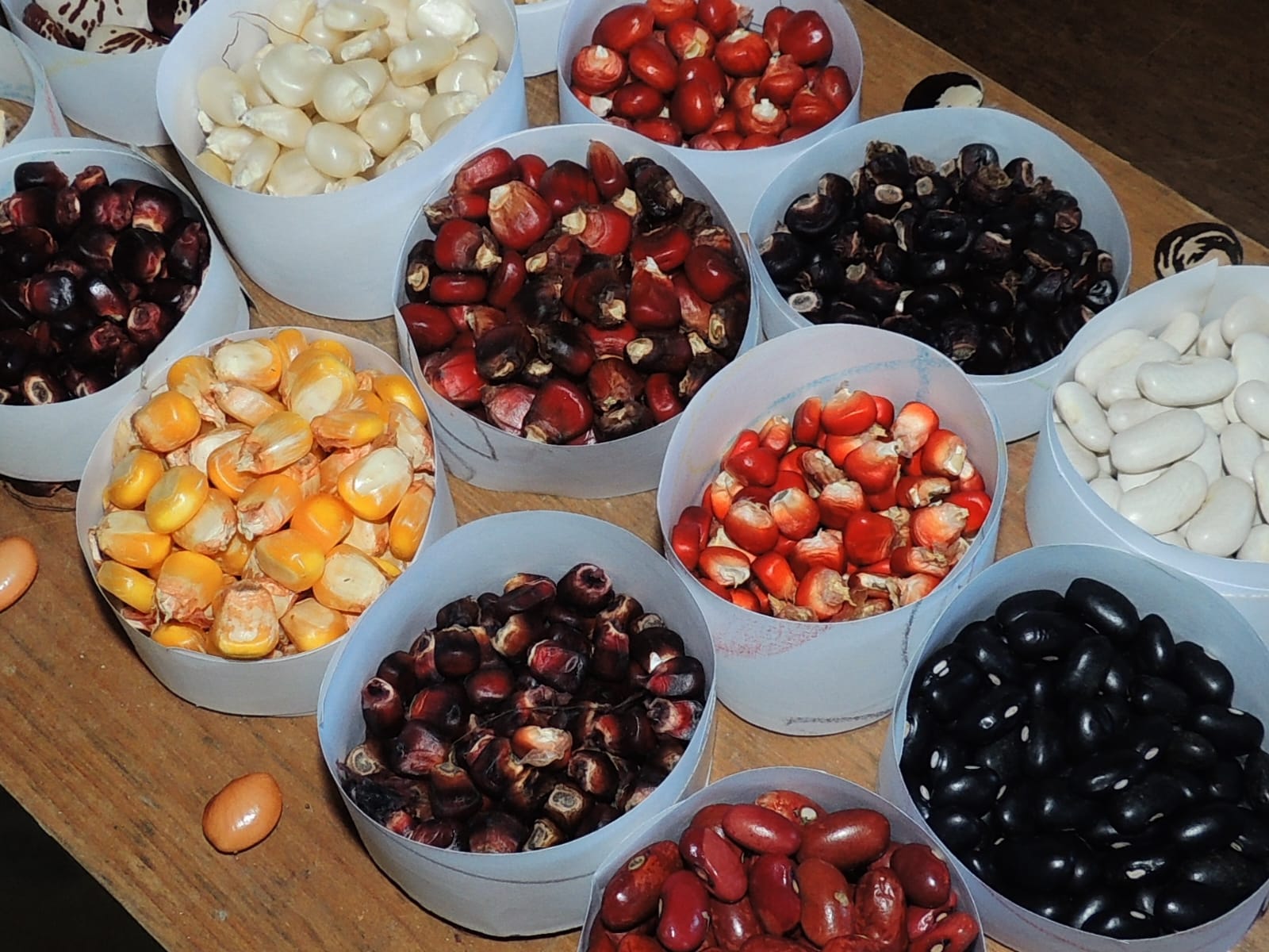 ab192b41-a00b-4740-8f9c-923e2cb34e94