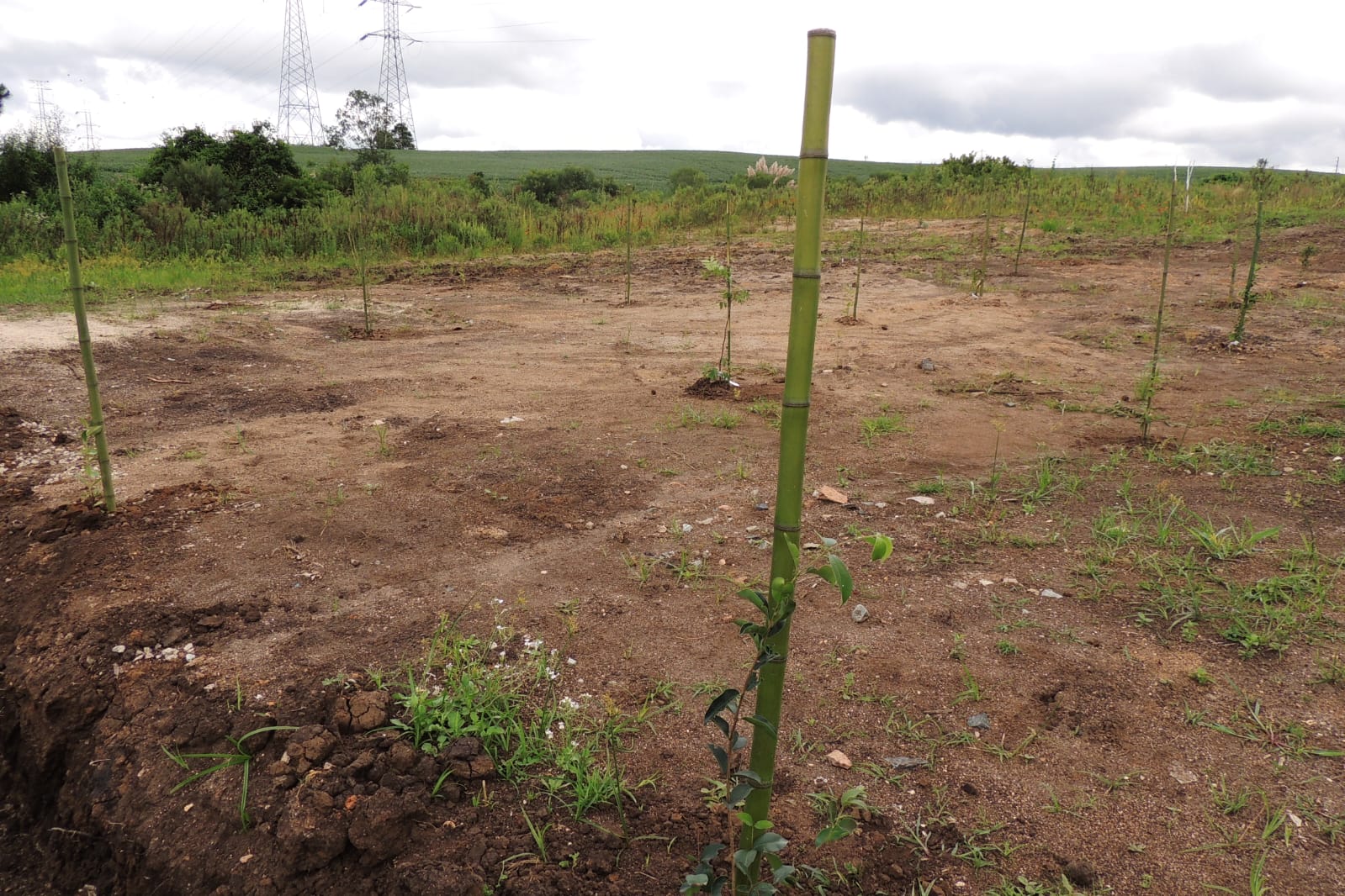 e38b278e-f08d-48e0-9367-c18c41fea1c8